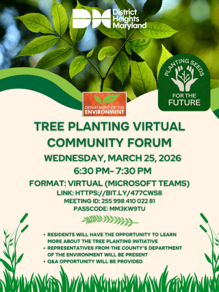 Tree Planting Virtual Community Forum